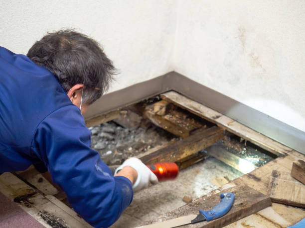 Crawl Space Mold Removal in Ogden, UT