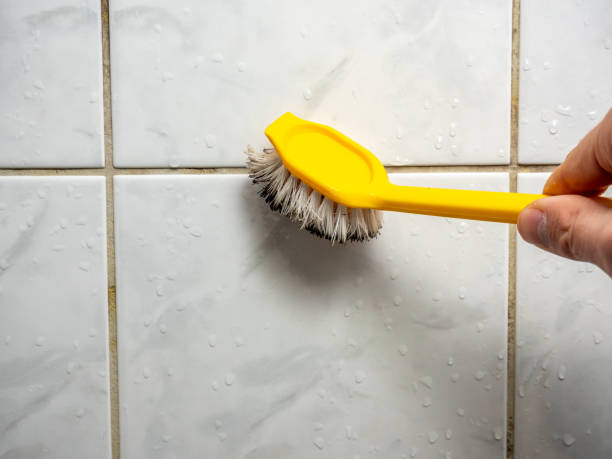 Best Home Mold Removal  in Ogden, UT