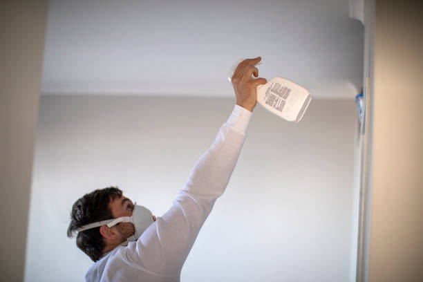 Best Emergency Mold Removal  in Ogden, UT
